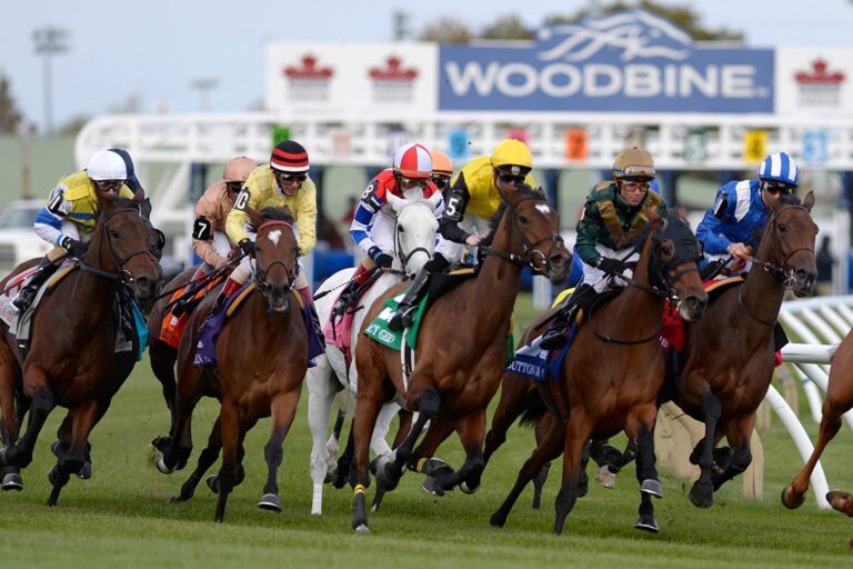 WOODBINE11