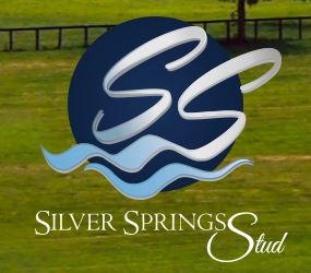 Silver Springs